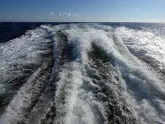 156 ILE DE HOEDIC_000074